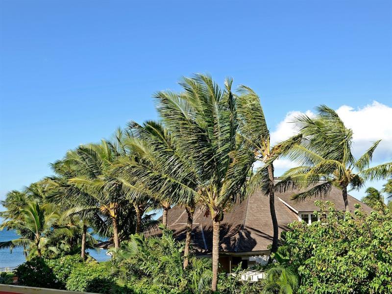 Nani Kai Hale 303 By Vacation Rental Pros Vr Kihei Exterior photo